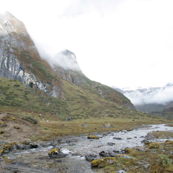 Beautiful Laya & Gasa Trek Featured Image